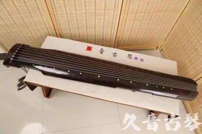 厦门市小白学古琴不会指法字符，一招带你玩转古琴20240429